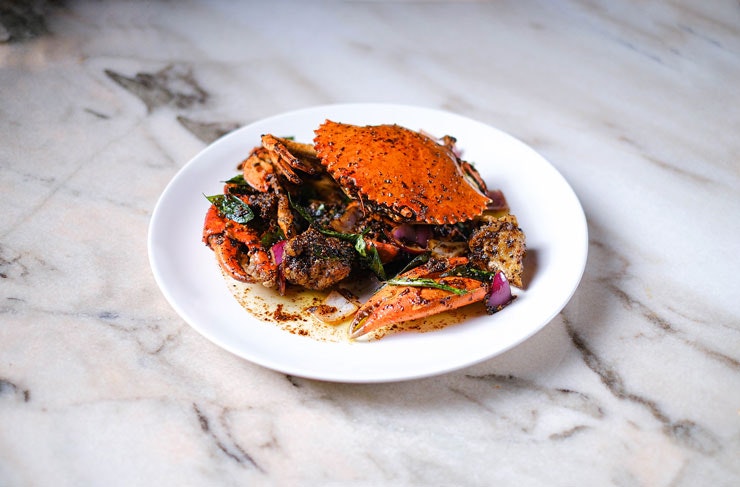 Mud crab
